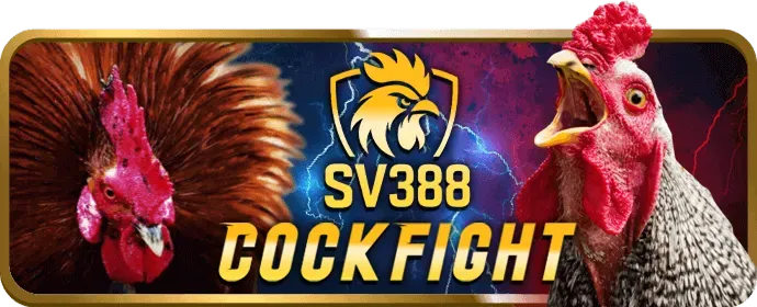 Hướng dẫn chơi Nổ Hũ tại f8bet80